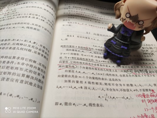 粘土人#1304 虚构推理 岩永琴子