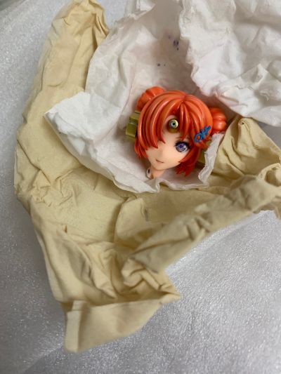 Fate / Grand Order 弗兰肯斯坦 泳装