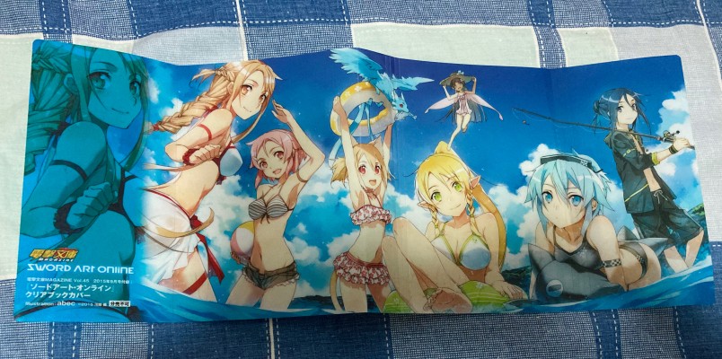 刀剑神域 第二季 有纪 泳装