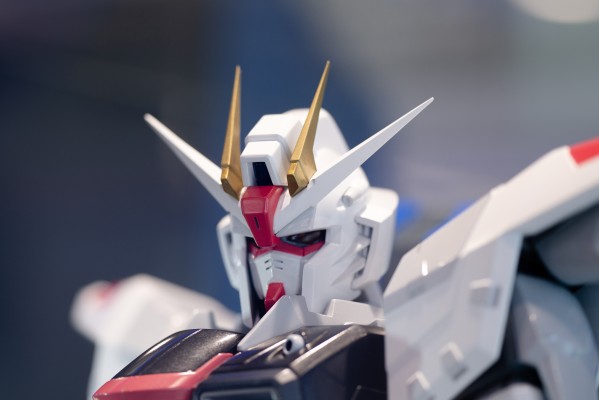 1/24  机动战士高达SEED ZGMF-X10A  实物大自由高达立像微缩雕像