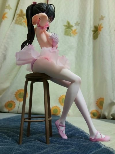 火烈鸟芭蕾舞团 马尾辫女孩