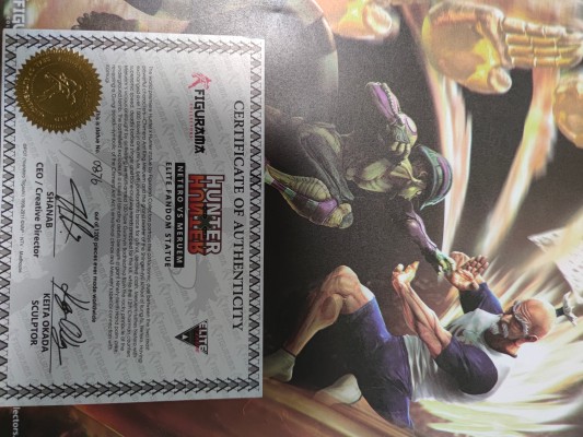 精英场景系列 猎人×猎人 梅露艾姆 VS 尼特罗