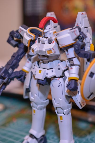 RG 1/144 杜鲁基斯 EW