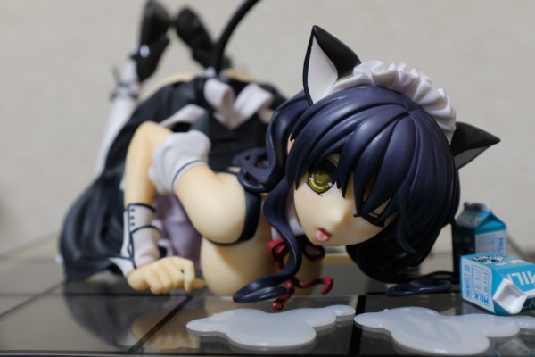 CAT LAP MILK