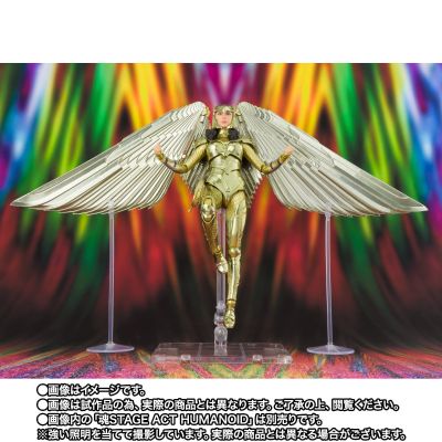 S.H.Figuarts 神奇女侠1984  神奇女侠 金色装甲