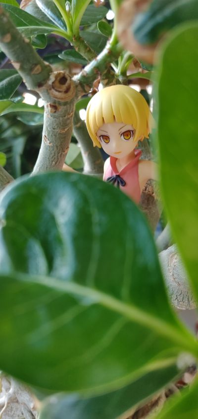 一番賞 傷物語 鐵血篇 B賞 10歲 姬絲秀忒・雅賽蘿拉莉昂・刃下心