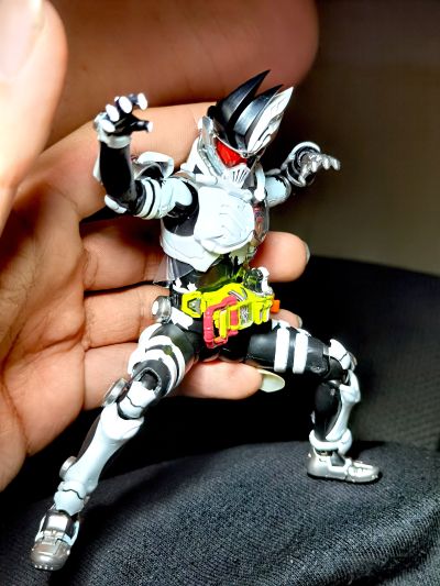 S.H.Figuarts 假面骑士艾克赛德 假面骑士幻梦 丧尸动作玩家 未知等级