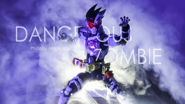 S.H.Figuarts 假面骑士：艾克赛德 假面骑士幻梦 丧尸玩家 等级10/LV.X