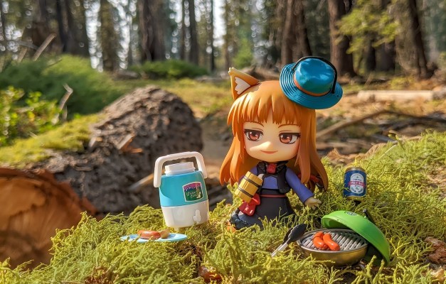 狼与香辛料 赫萝