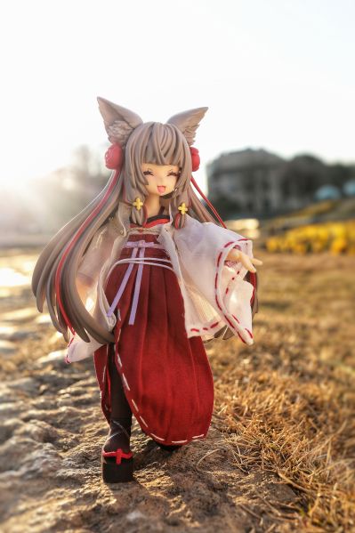 耳朵花园博物志 真白