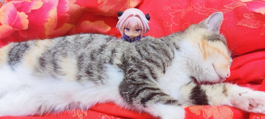 粘土娃 Fate/Apocrypha 阿斯托尔福 私服