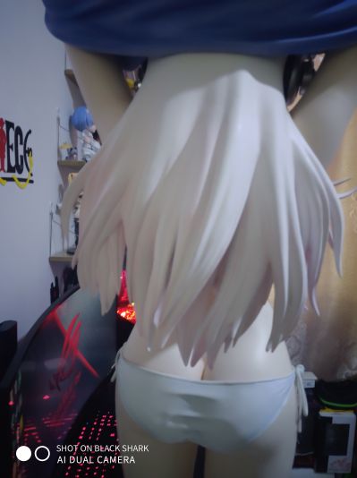 超级索尼子 1/2 ポリレジン