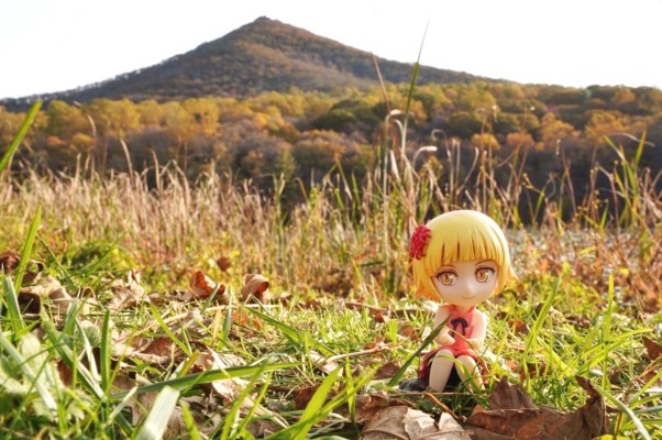 〈物语〉系列 绮丝肖特·雅赛萝拉莉昂·刃下心