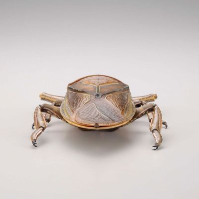 REVOGEO 田鳖/田龟