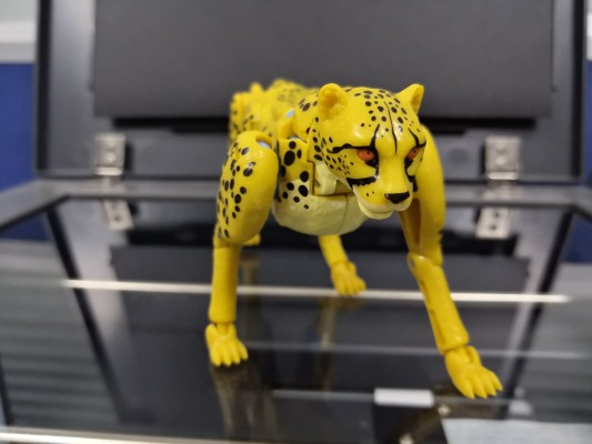 变形金刚 王国 KD-01 金刚王