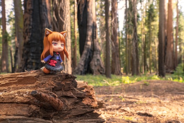 狼与香辛料 赫萝