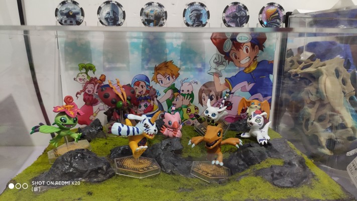 数码宝贝 数码收藏！ MIX