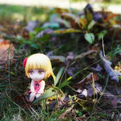 〈物语〉系列 绮丝肖特·雅赛萝拉莉昂·刃下心