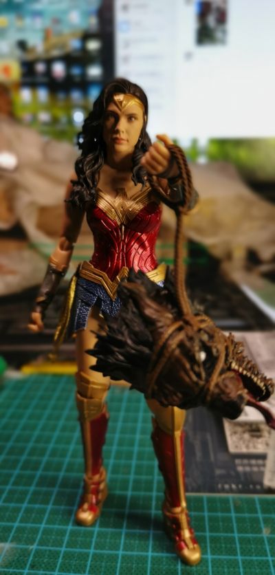 S.H.Figuarts 神奇女侠1984 神奇女侠（WW84）