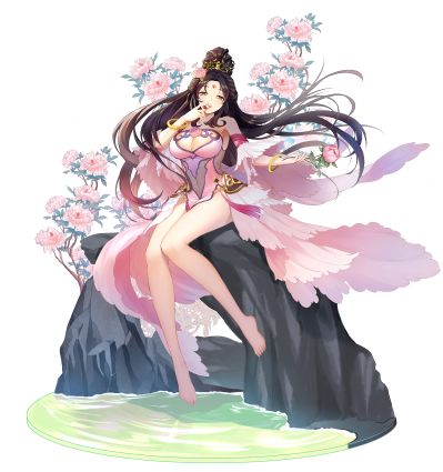 杨玉环