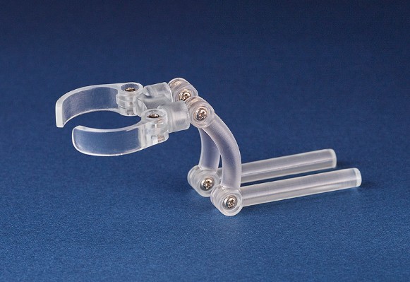 Harmonia bloom 支架套装