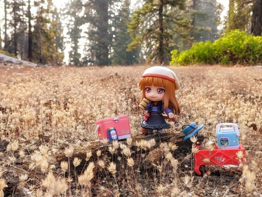 狼与香辛料 赫萝