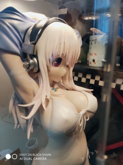 超级索尼子 1/2 ポリレジン