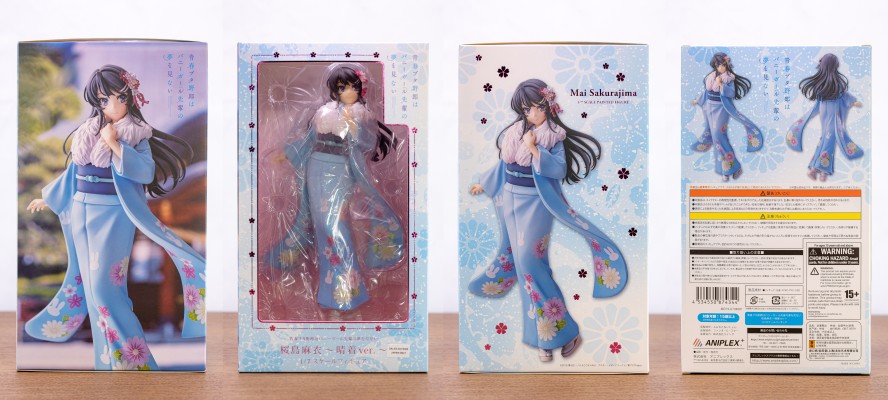 青春期笨蛋不做兔女郎学姐的梦 樱岛麻衣 晴着ver.