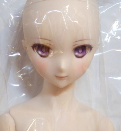 Dollfie Dream DD 命运-冠位指定 盾兵-玛修・基列莱特