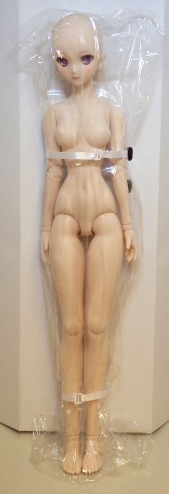 Dollfie Dream DD 命运-冠位指定 盾兵-玛修・基列莱特