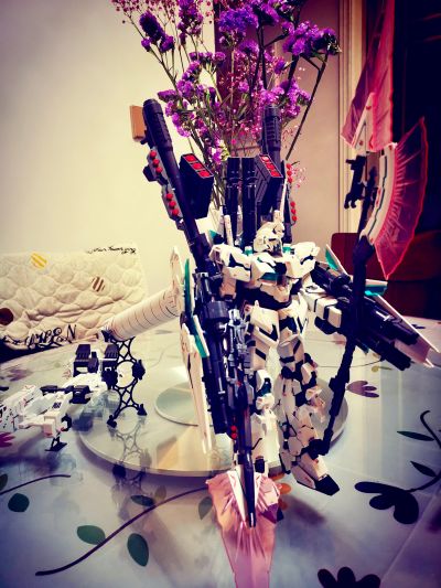 RG 1/144 MSN-06S  新安州