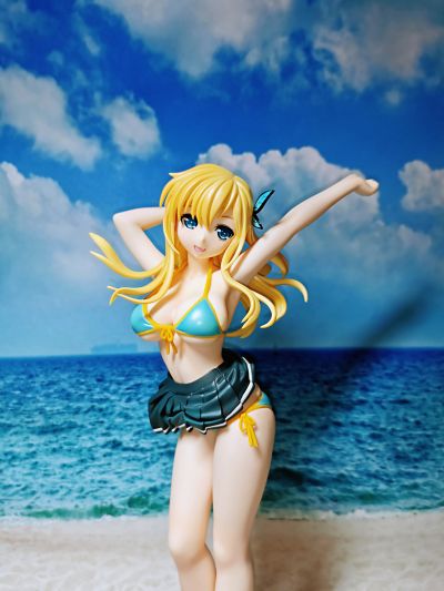 柏崎星奈 泳装版