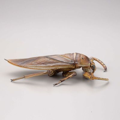 REVOGEO 田鳖/田龟