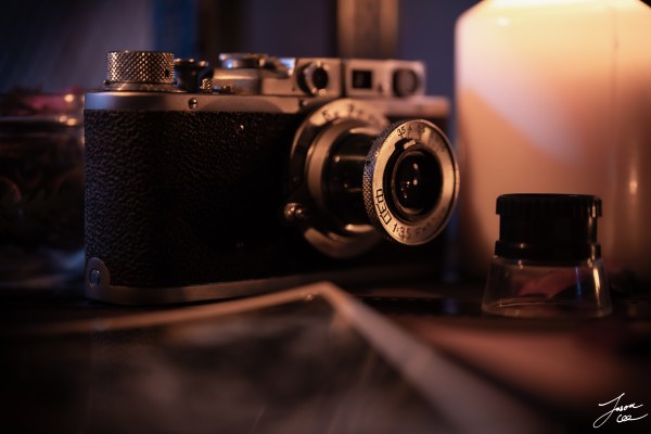 命运-冠位指定 阿比盖尔·威廉姆斯