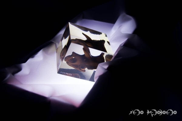 怒首领蜂 大往生 TYPE-A