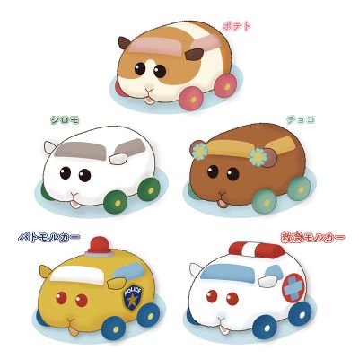PUI PUI Molker 天竺鼠车车