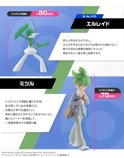 宝可梦比例世界 丰缘地区 满充+艾路雷朵