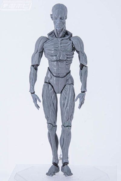 figma#SP-142 桌上美术馆 人体模型