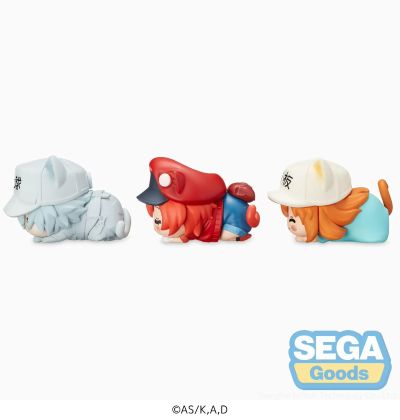 工作细胞 血小板