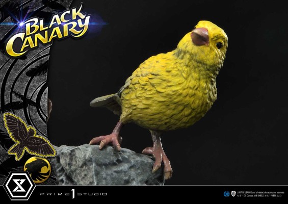 MMDC-49 黑金丝雀 黑金丝雀