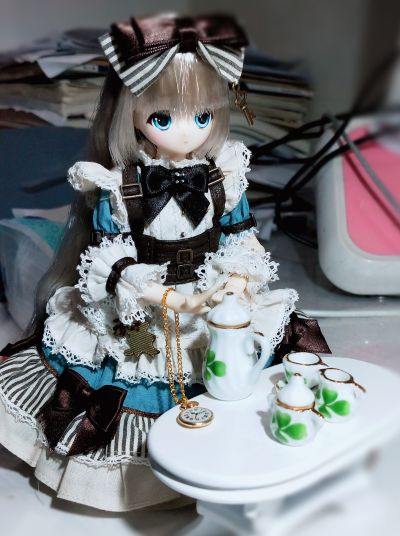 Alvastaria 梅丽尔 ～书，镜子和小爱丽丝～ (Azone商城限定贩售)