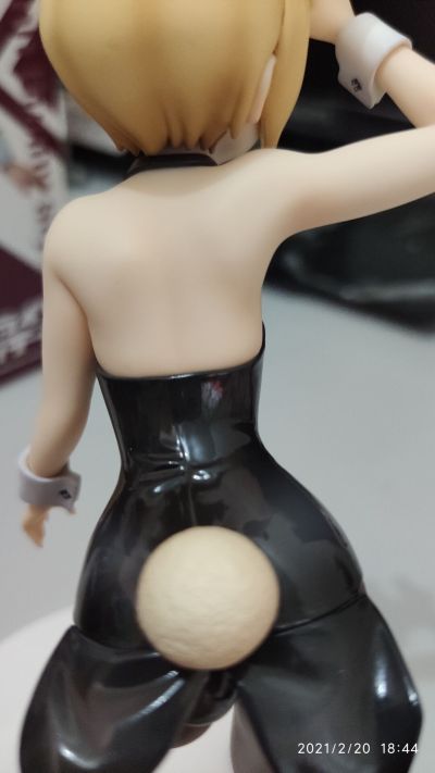 强袭魔女 Operation Victory Arrow 艾莉卡·哈特曼 兔女郎style