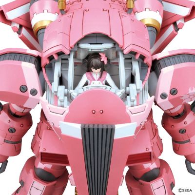 HG 1/24 新樱花大战#06 灵子战斗机・试制樱武(天宫樱机)