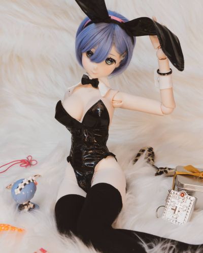 Dollfie Dream Sister DDS Re：从零开始的异世界生活 蕾姆