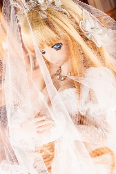 Dollfie Dream DD 超时空要塞F 雪莉露・诺姆