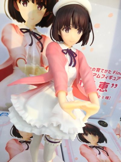 路人女主的养成方法 Fine 加藤惠 女主角ver.