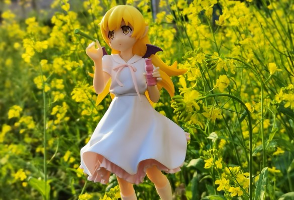 EXQ 〈物语〉系列 忍野忍