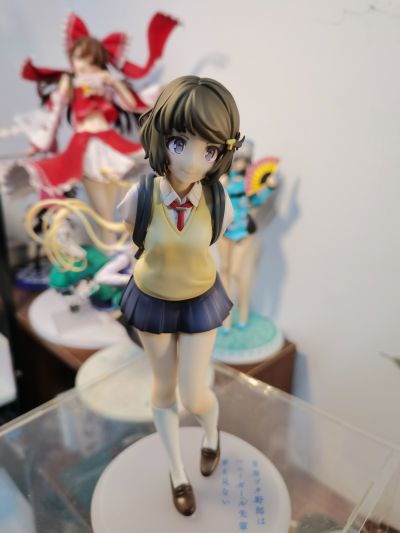 青春期笨蛋不做兔女郎学姐的梦 古贺朋绘