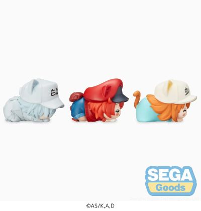 工作细胞 血小板