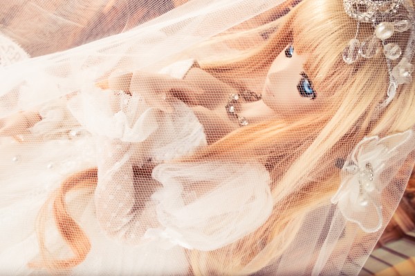 Dollfie Dream DD 超时空要塞F 雪莉露・诺姆